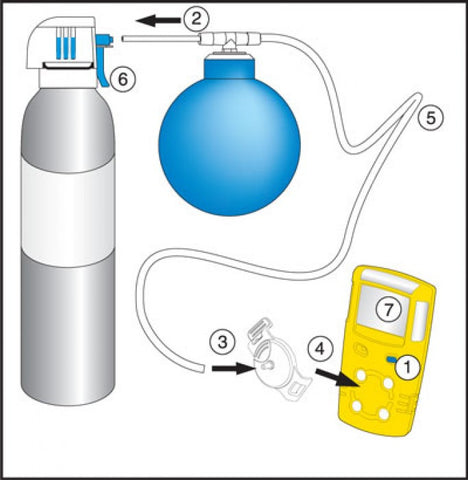 BW CG-BUMP-H25 Bump alarm test gas aerosol H2S (25 ppm)